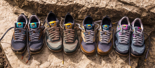 Comparison: Trail Blazer vs. Trailhead & Primal Pursuit